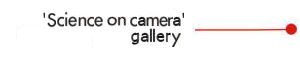 galeria
