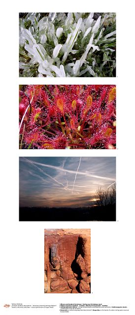 see enlarged picture(s)